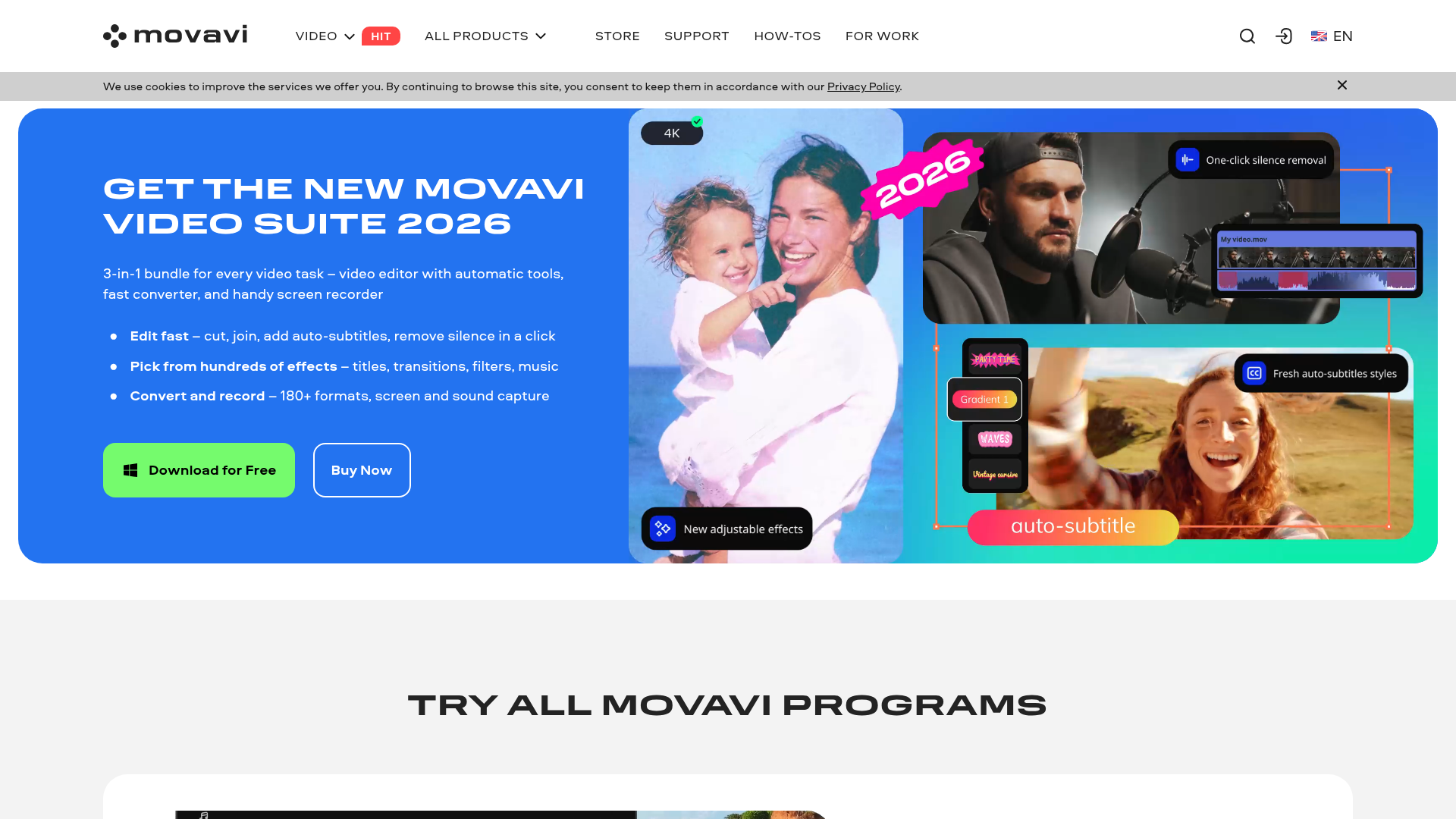 Movavi preview